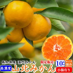 山北みかん 減農薬 訳あり 約10kg 生産者限定 温州みかん お歳暮 高知県産｜marin-online