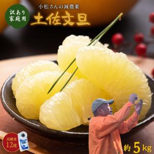 ＼1月下旬発送予約／ 文旦 土佐文旦 糖度12度 高知県産 減農薬 約5kg 家庭用 訳あり 2L-L パール柑 ブンタン 送料無料｜土佐カツオとうなぎ通販 池澤鮮魚