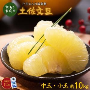 ＼1月下旬発送予約／ 文旦 土佐文旦 高知県産 減農薬 約10kg 中玉 小玉 お徳用 家庭用 訳あり ブンタン 送料無料｜土佐カツオとうなぎ通販 池澤鮮魚