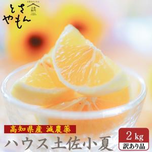 極旨】甘平（かんぺい）お得用10kg（愛媛県大三島産） : 俺のみかん