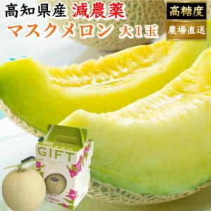 贈答用 高級マスクメロン 大玉(約1,5ｋｇ) 誕生日 ギフト フルーツ 果物｜marin-online