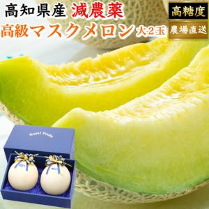 贈答用 高級ギフト箱 厳選マスクメロン 大玉(約1,5ｋｇ×2) フルーツ 果物｜marin-online