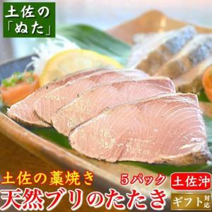 土佐沖 天然ブリ 藁焼きタタキ 高知県産 5節 土佐のぬた付 ギフト 送料無料｜marin-online