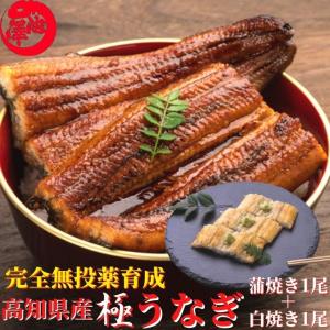 高知県産 うなぎ 蒲焼き 白焼き 各１尾 国産 完全無投薬  仁淀川 誕生日 ギフト｜marin-online