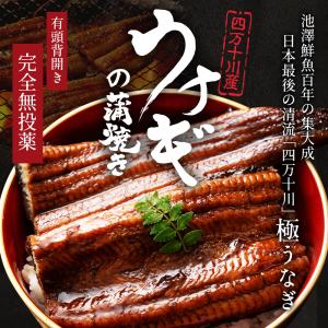 四万十川 うなぎ 蒲焼き 国産 高知県産 特大...の詳細画像1