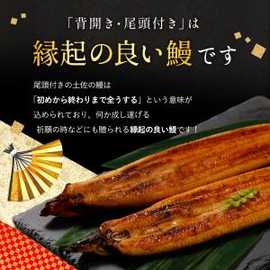 四万十川 うなぎ 蒲焼き 国産 高知県産 特大...の詳細画像3