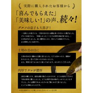 四万十川 うなぎ 蒲焼き 国産 高知県産 特大...の詳細画像5