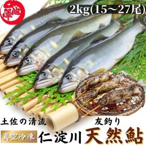 天然鮎 鮎 仁淀川 2kg 極上 友釣り鮎 高知県産 ギフト 贈答用 送料無料｜marin-online