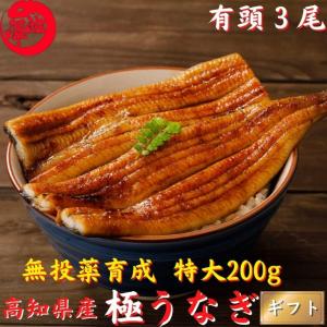 高知県産 うなぎ 蒲焼き 国産 特大200g×3尾 無投薬 仁淀川 誕生日 ギフト 贈答｜marin-online