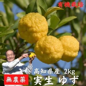 農薬を使用しない 実生 ゆず 有機栽培 無農薬 柚子 2kg 傷有 高知県産