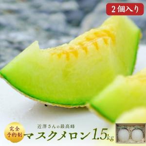 6月中旬発送予約】 メロン マスクメロン 高知県産 近澤さんのとろける