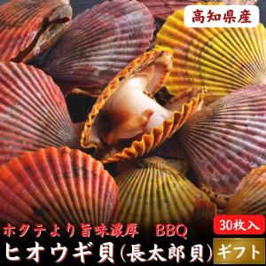 高知県産 マガキガイ 1kg ワクトフーズ チャンバラ貝 : 旨いもん