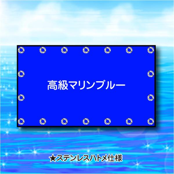 ボートオーニング BA-20230829 <高級マリンブルー> 3.2m × 1.3m