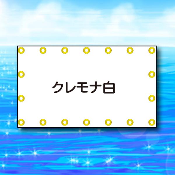 ボートオーニング 20251209 <クレモナ白>2.2m×1.3m