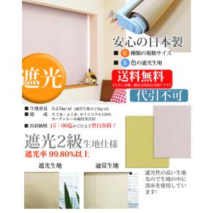 遮光ロールスクリーン ティオリオ (日本製) ...の詳細画像1