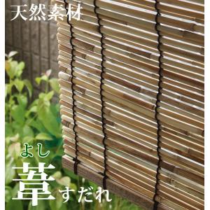 タチカワ　カーテン房掛け　30個セット タチカワブラインド カーテン ふさかけ デリアス 日本製 : NetShop