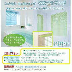 浴室ブラインド オーダー 日本製 (幅45〜8...の詳細画像1