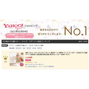 月齢 フォト ベビーマンスリーカード 月齢カー...の詳細画像1