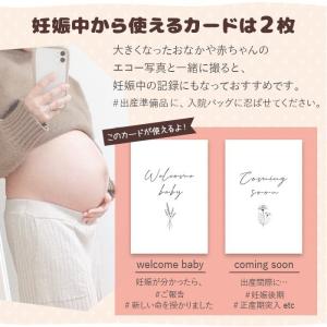 月齢 フォト ベビーマンスリーカード 月齢カー...の詳細画像5