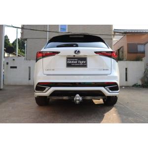 サンロッキーヒッチメンバー レクサス NX 300h *代引不可 *受注