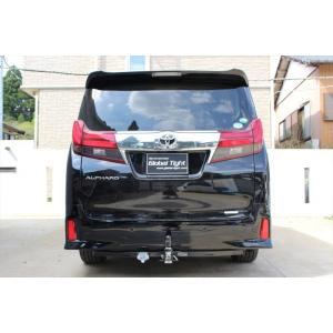 サン自動車工業 SUNTREX サントレックス ヒッチメンバーSTD