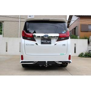 サントレックス ヒッチメンバー【20系 アルファード(G/X)/ヴェル