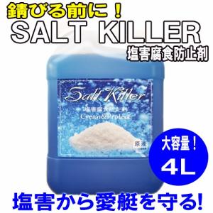 錆びる前に!! ソルトキラー （塩害腐食防止剤） 4L｜MarineDay’s