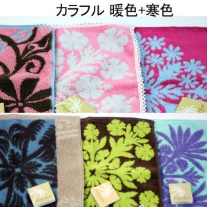 タオル ギフト 6個 個装 キャシーマム ハワ...の詳細画像4
