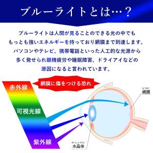 ブルーライトカットメガネ クロス ポーチ付き ...の詳細画像3