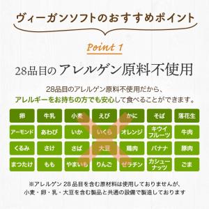 私のおいしいヴィーガンソフト 160g×3箱 ...の詳細画像2