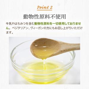 私のおいしいヴィーガンソフト 160g×3箱 ...の詳細画像3