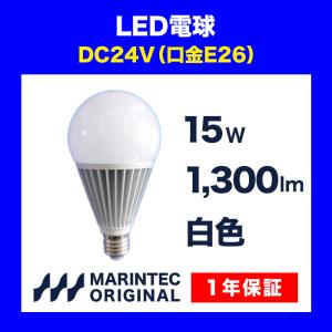 12v 24V 兼用 LED 電球 12W 無極性 1200LM 1200ルーメン 口金 E26
