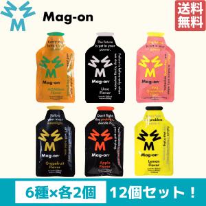 マグオン MAG-ON エナジージェル 各種2個入り 12個セット スポーツ トレーニング 梅 ピンクグレープフルーツ レモン アップル グレープフルーツ 青ミカン｜スポーツマリオ Yahoo!店