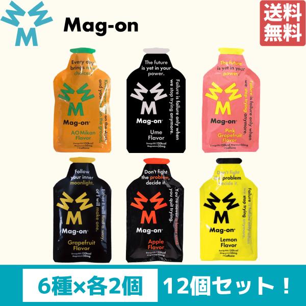 マグオン MAG-ON エナジージェル 各種2個入り 12個セット スポーツ トレーニング 梅 ピン...