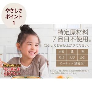 そのまんまOKカレー 甘口 5年間長期保存 日...の詳細画像3