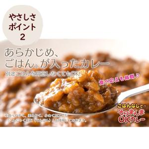 そのまんまOKカレー 甘口 5年間長期保存 日...の詳細画像4