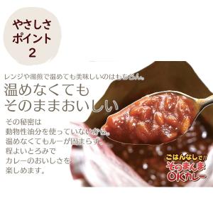 そのまんまOKカレー 甘口 5年間長期保存 日...の詳細画像5
