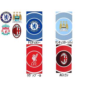 すべての花の画像 75 マンチェスターシティ ロゴ 壁紙