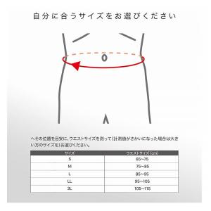 ザムスト ZAMST 腰用サポーター サポート...の詳細画像5