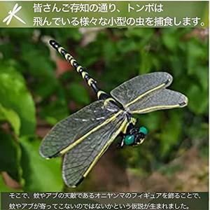 オニヤンマ 本 雑誌 コミック の商品一覧 通販 Yahoo ショッピング