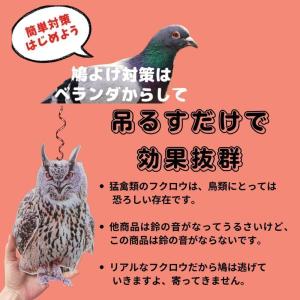 鳩よけグッズ ベランダ はとよけグッズ はとに...の詳細画像1