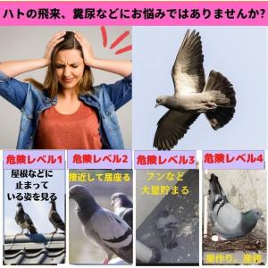 鳩よけグッズ ベランダ はとよけグッズ はとに...の詳細画像2