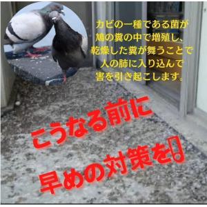 鳩よけグッズ ベランダ はとよけグッズ はとに...の詳細画像3