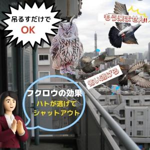 鳩よけグッズ ベランダ はとよけグッズ はとに...の詳細画像4