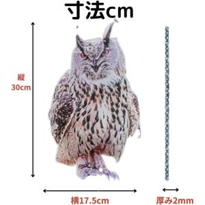 鳩よけグッズ ベランダ はとよけグッズ はとに...の詳細画像5