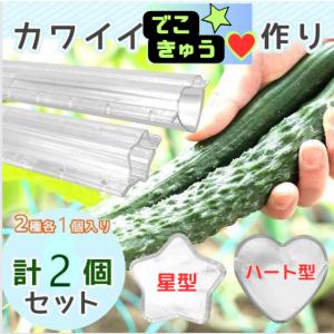 でこきゅう 星 きゅうり 星型 でこきゅう ハ...の詳細画像2