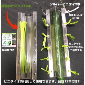 でこきゅう 星 きゅうり 星型 でこきゅう ハ...の詳細画像5