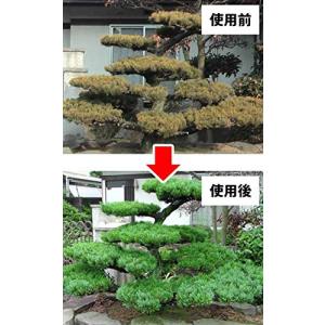 弱った植木の樹勢回復に ニワユタカ肥料セット ...の詳細画像3