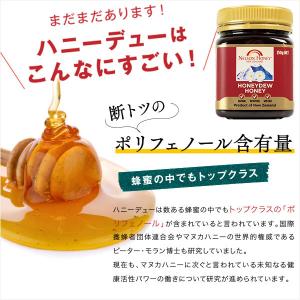 生 はちみつ 1kg 1本 【 マヌカハニー ...の詳細画像5
