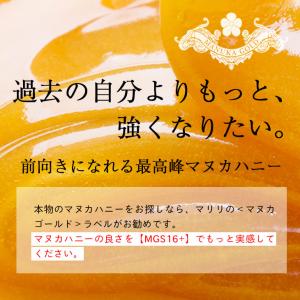 マヌカハニー 16+ 1kg 1本 認定書/分...の詳細画像4